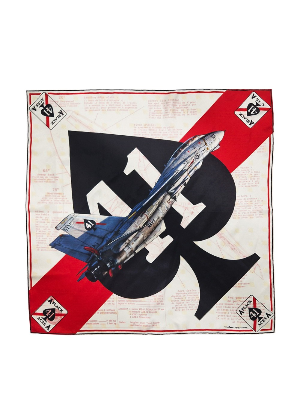 "AD-4N SKYRAIDER" women' polo | Barnstormer