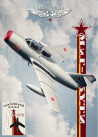 Polo femme homme MIG 15UTI - "Red 18" | Barnstormer