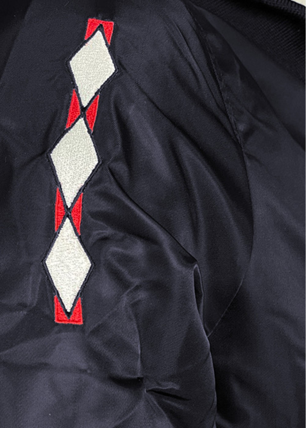 "Pitts" reversible bomber | Barnstormer