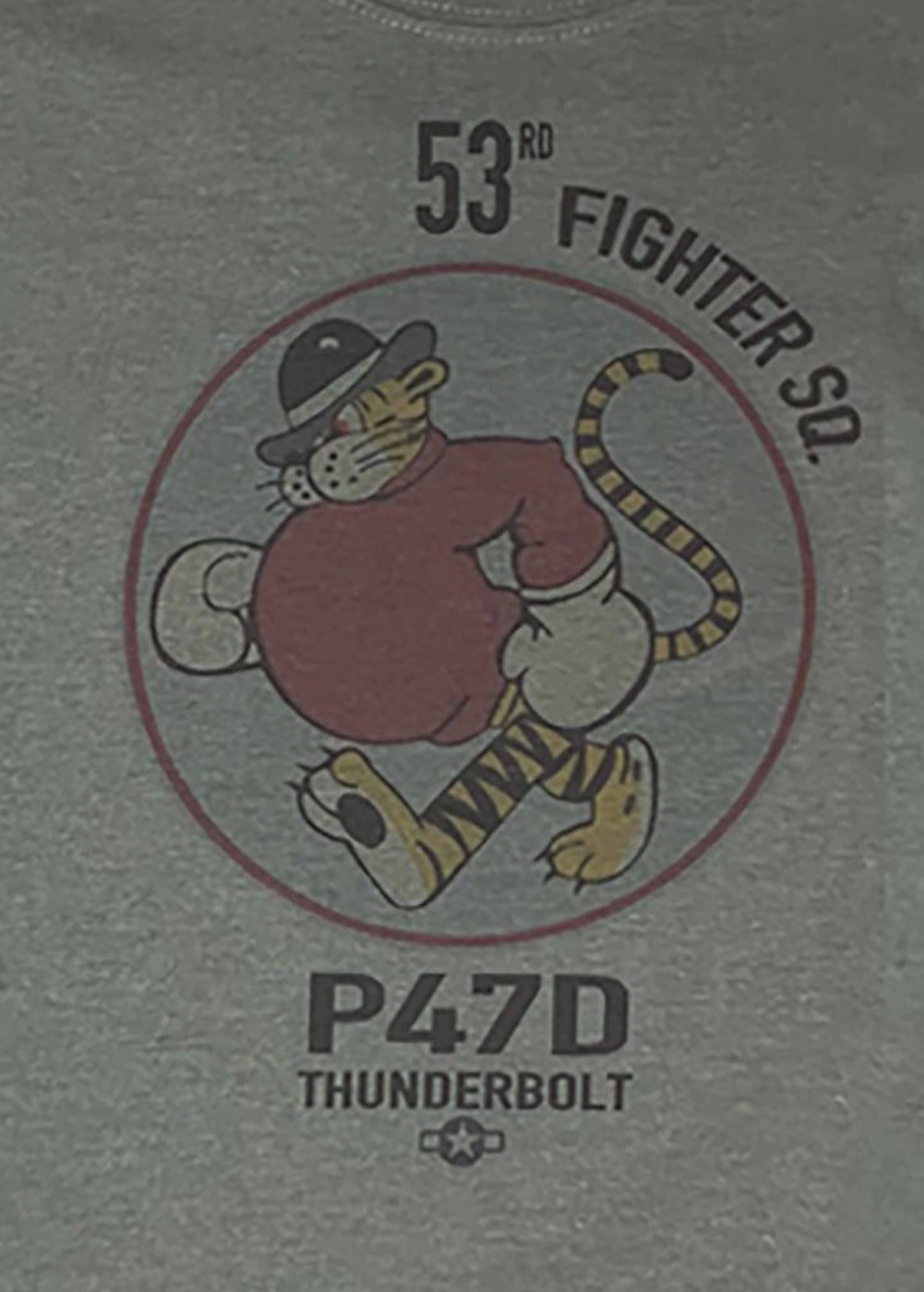 "53rd Fighter SQ - P47D Thunderbolt" T-shirt | Barnstormer