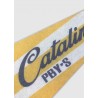 "Catalina" pennant| Barnstormer