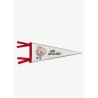 "Air Apache" pennant| Barnstormer