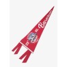 "Missed the Target" pennant | Barnstormer
