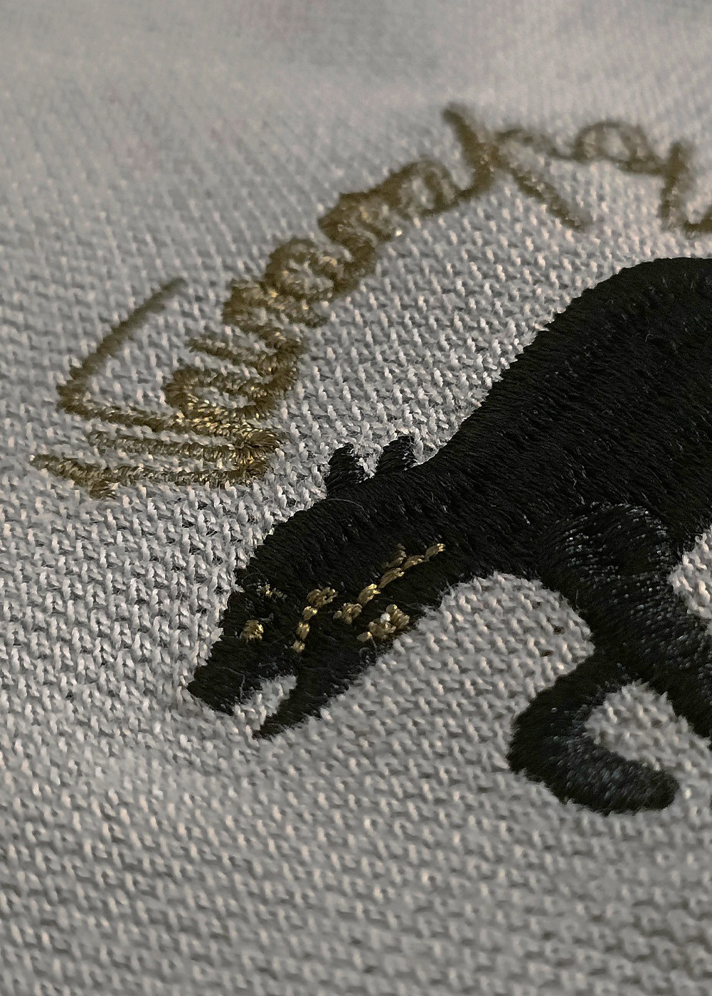 Polo femme "P40 Wairarapa Wildcat"  | Barnstormer