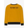 Sweat "VF84" - Romain Hugault | Barnstormer