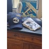 "Wildcat" cap | Barnstormer