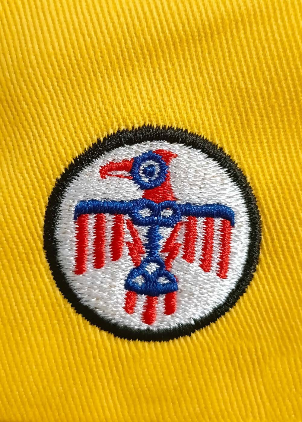 "P-51C Thunderbird" cap | Barnstormer