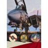 "Tomcat" set of 3 badges | Barnstormer