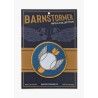 "Ball Boys" patch | Barnstormer