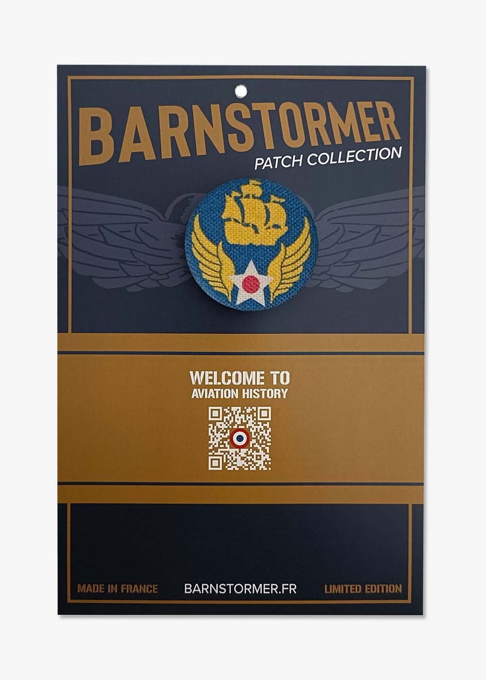 "6th Air Force" badge | Barnstormer