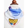 "70 years of PAF" scarf | Barnstormer
