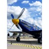 "P-51C Thunderbird" polo - DTAM | Barnstormer