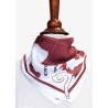 "Breguet XIX TF Super Bidon - Point d’Interrogation" scarf | Barnstormer
