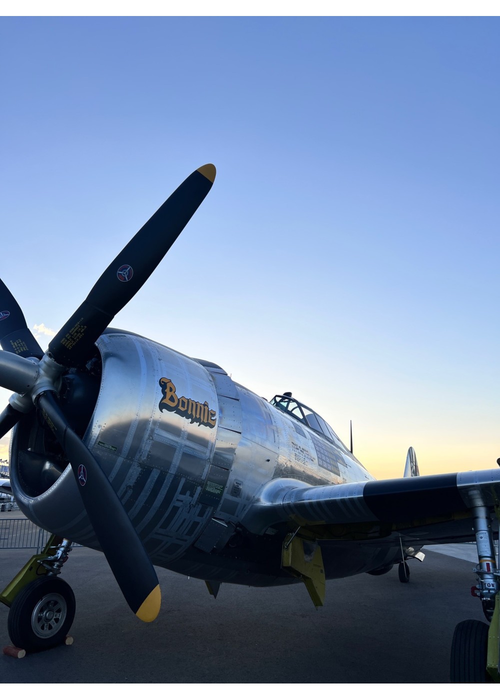 Teddy "P-47 Bonnie" | Barnstormer