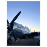 Teddy "P-47 Bonnie" | Barnstormer