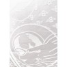 "Barnstormer Crossing the Atlantic" shawl | Barnstormer
