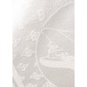 "Barnstormer Crossing the Atlantic" shawl | Barnstormer