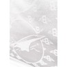 "Barnstormer Crossing the Atlantic" shawl | Barnstormer