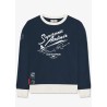 Sweat "Concorde The Supersonic Airliner" | Barnstormer